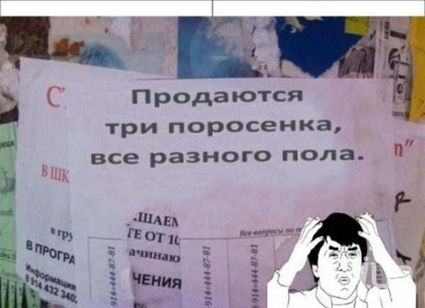 796855 975117