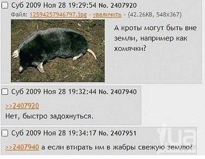 896055 1225336