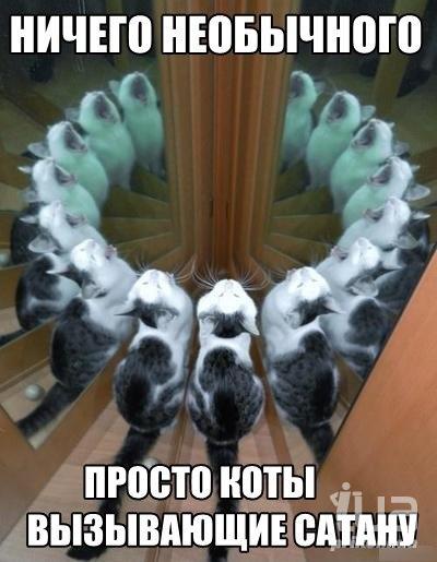 925855 1289636