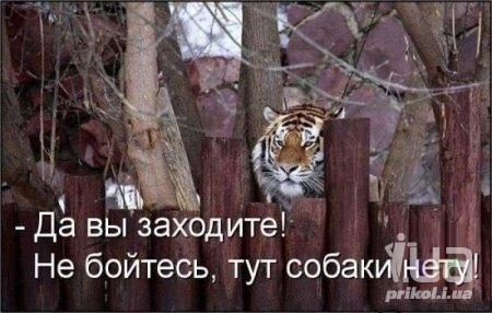 932955 1304897