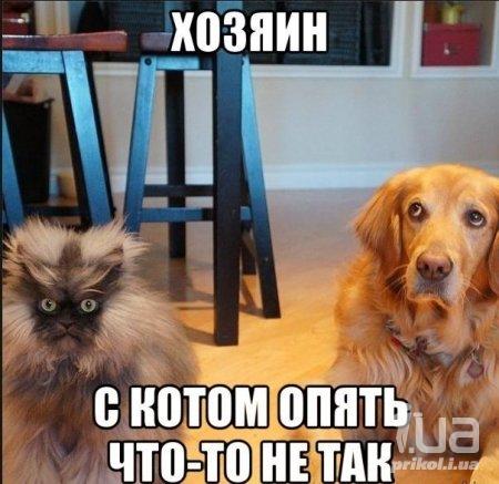 932955 1304898