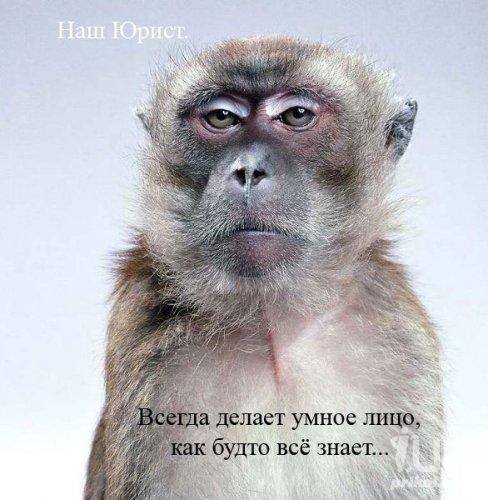 999436 1429799