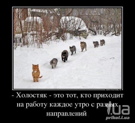 1005066 1441701