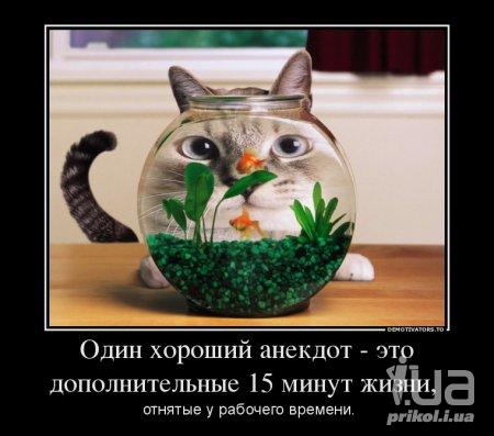 1005066 1441703