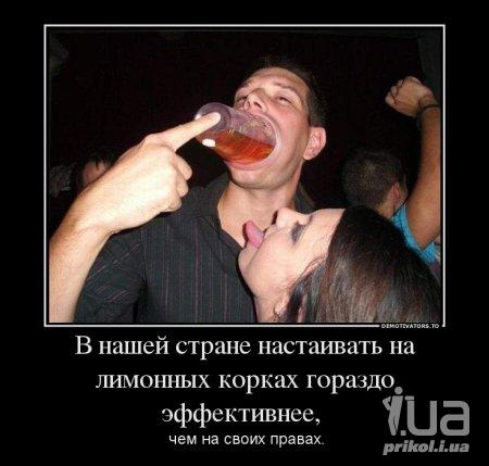1005066 1441704