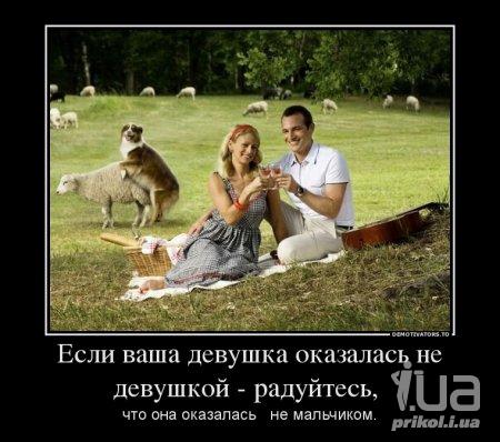 1005066 1441705