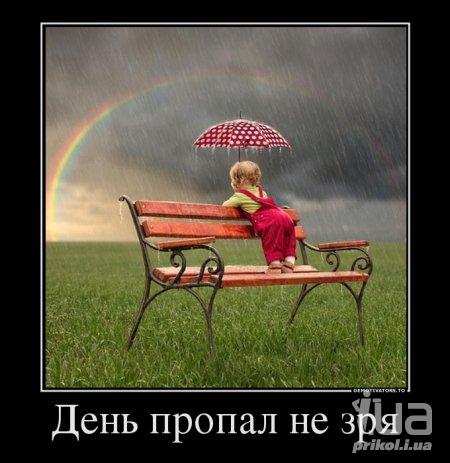 1005066 1441706