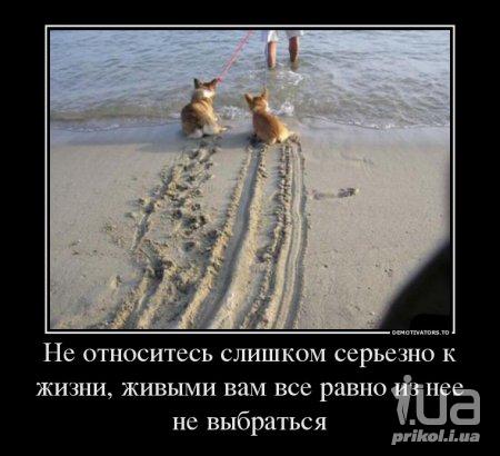 1005066 1441710