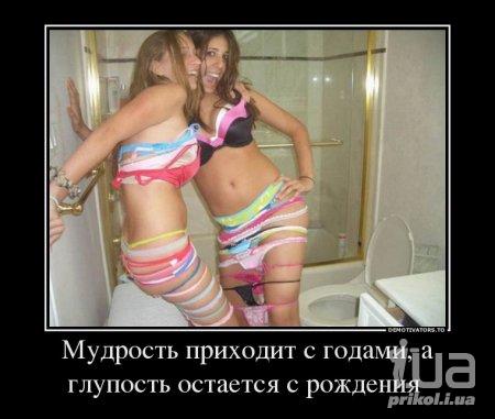 1005066 1441719