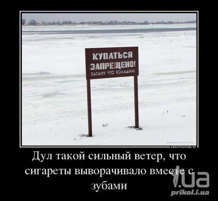 1005066 1441723