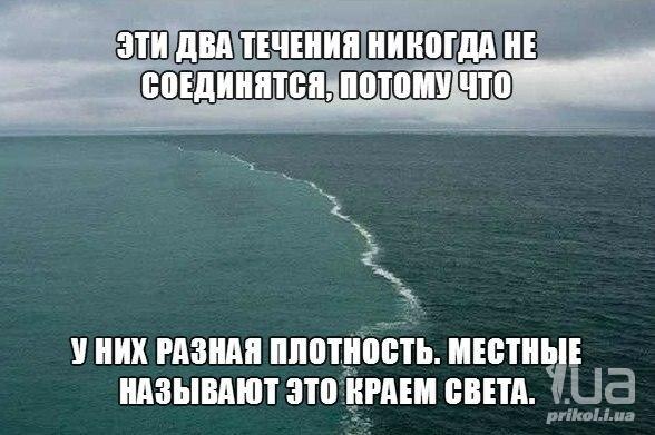 1019666 1470658