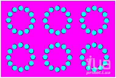 1025266 1482593