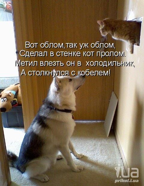 601566 564683