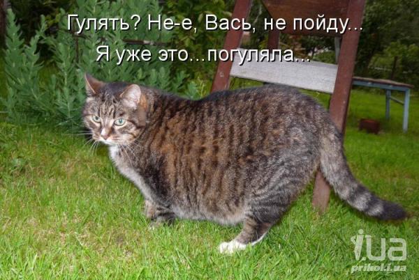 633466 625896