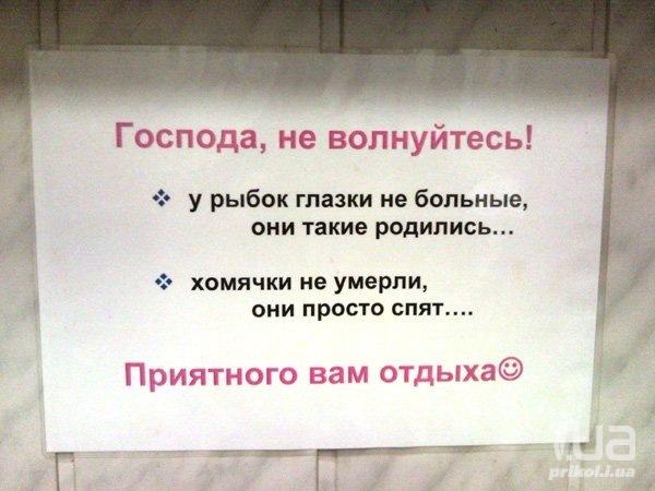 684766 743361