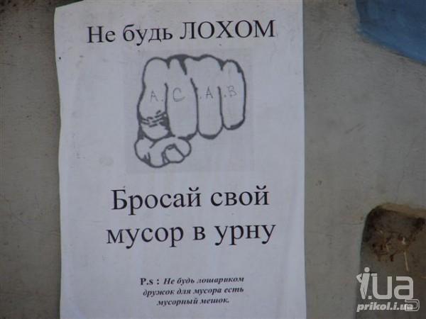 684766 743365