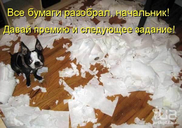 715466 797562