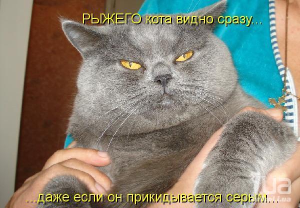 788966 956487