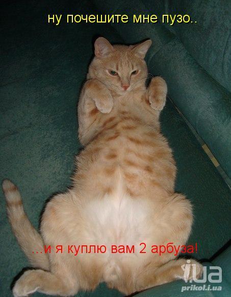 788966 956491