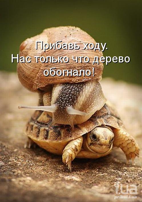 788966 956494