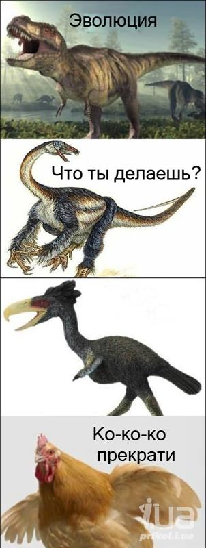 889266 1209269