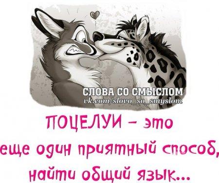 908366 1253031