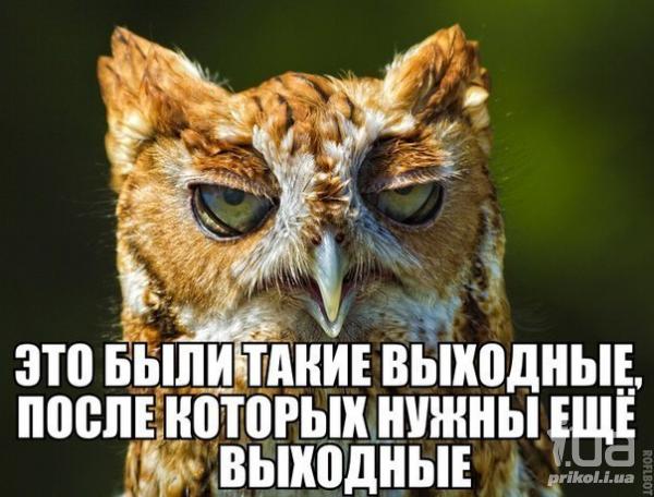 983966 1396751