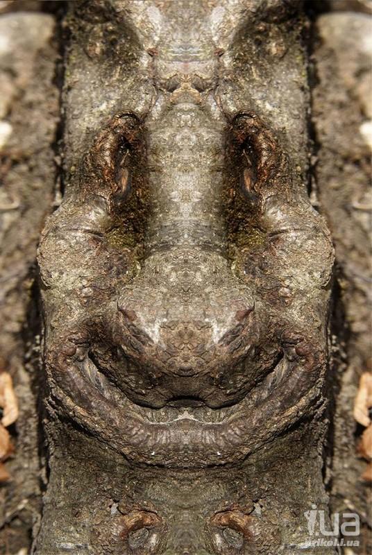 1020107 1471590