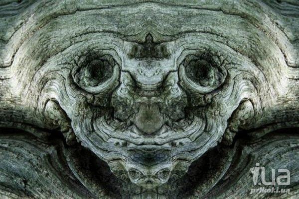 1020107 1471597