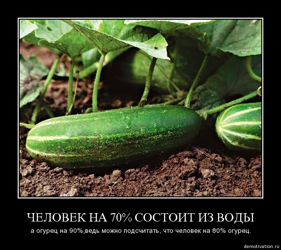 394727 377608