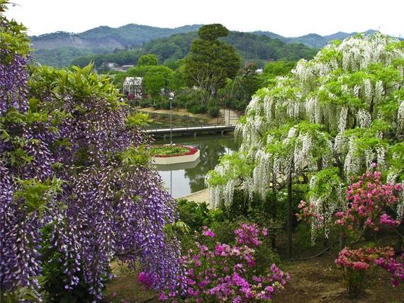 Японский
парк цветов..
