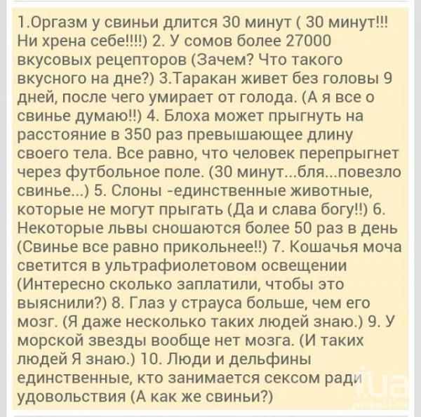 1015777 1462822