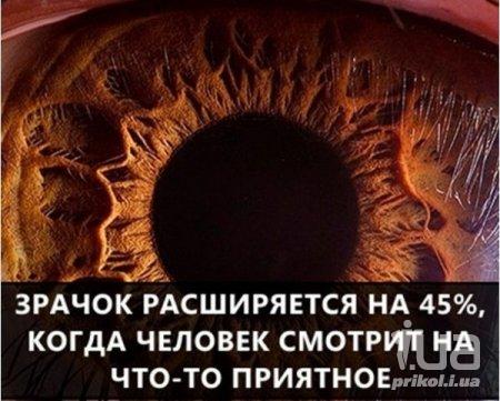 1035177 1500912