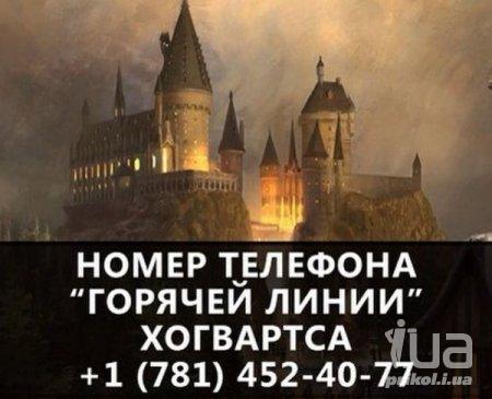 1035177 1500915