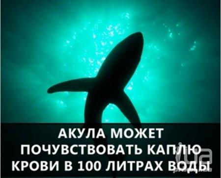 1035177 1500929