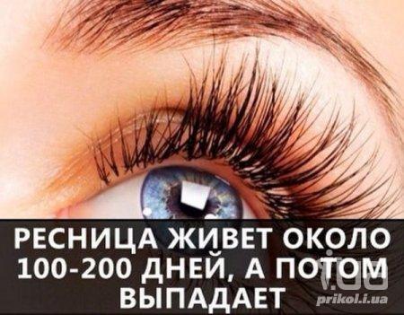 1035177 1500945