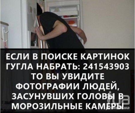 1035177 1500946
