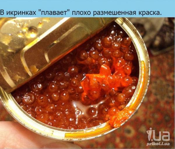 1036677 1503677