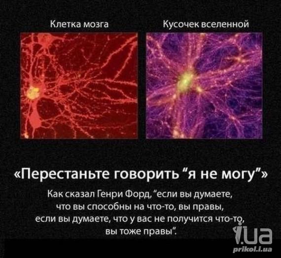 1037777 1505821