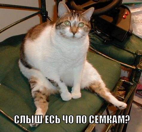 444977 427897