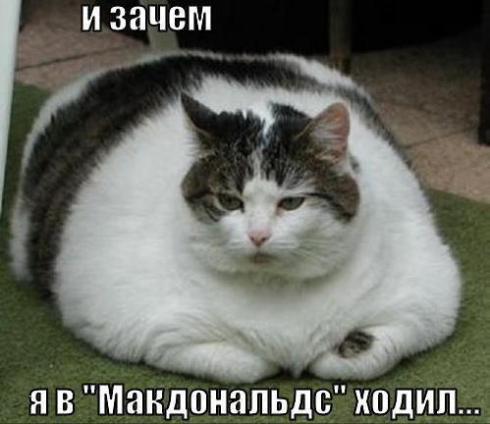 444977 427902