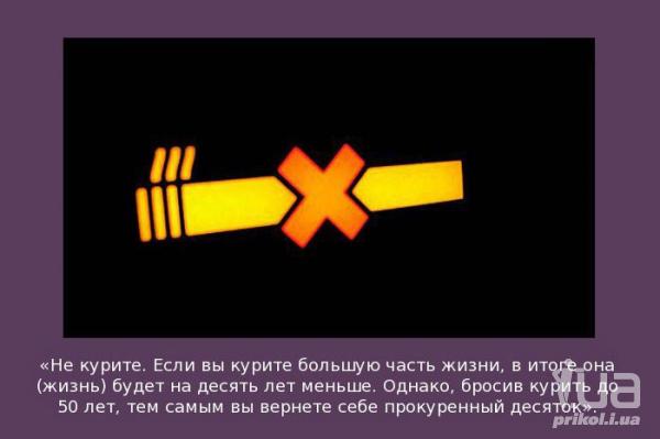 527677 506539