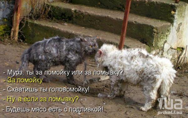 590777 556110