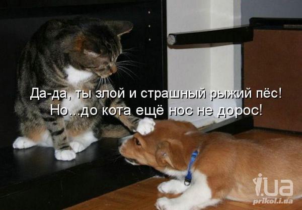 674577 719196