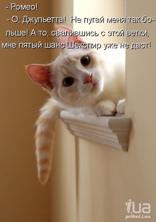 692877 757331