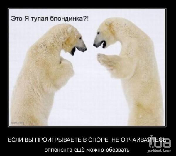 711677 791104