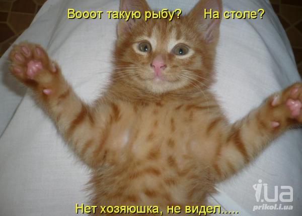 737577 840086