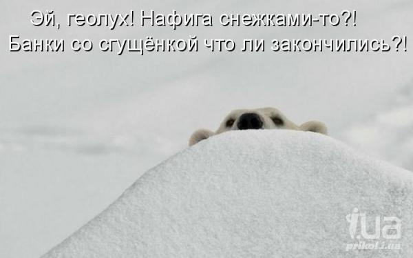 752177 879307