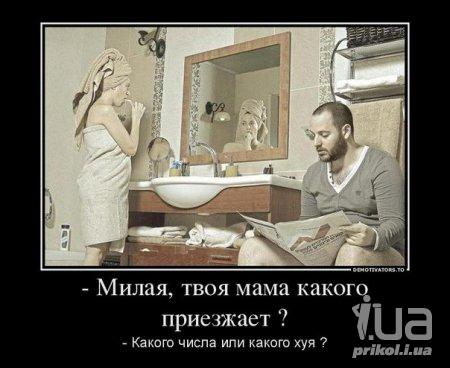 799677 980733