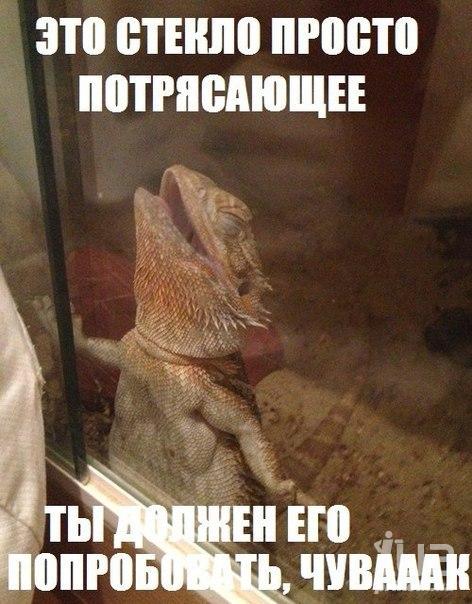 872977 1170640
